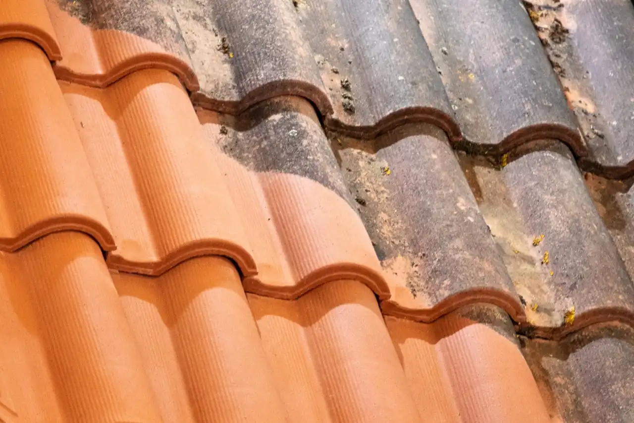 nettoyage toiture1 Large